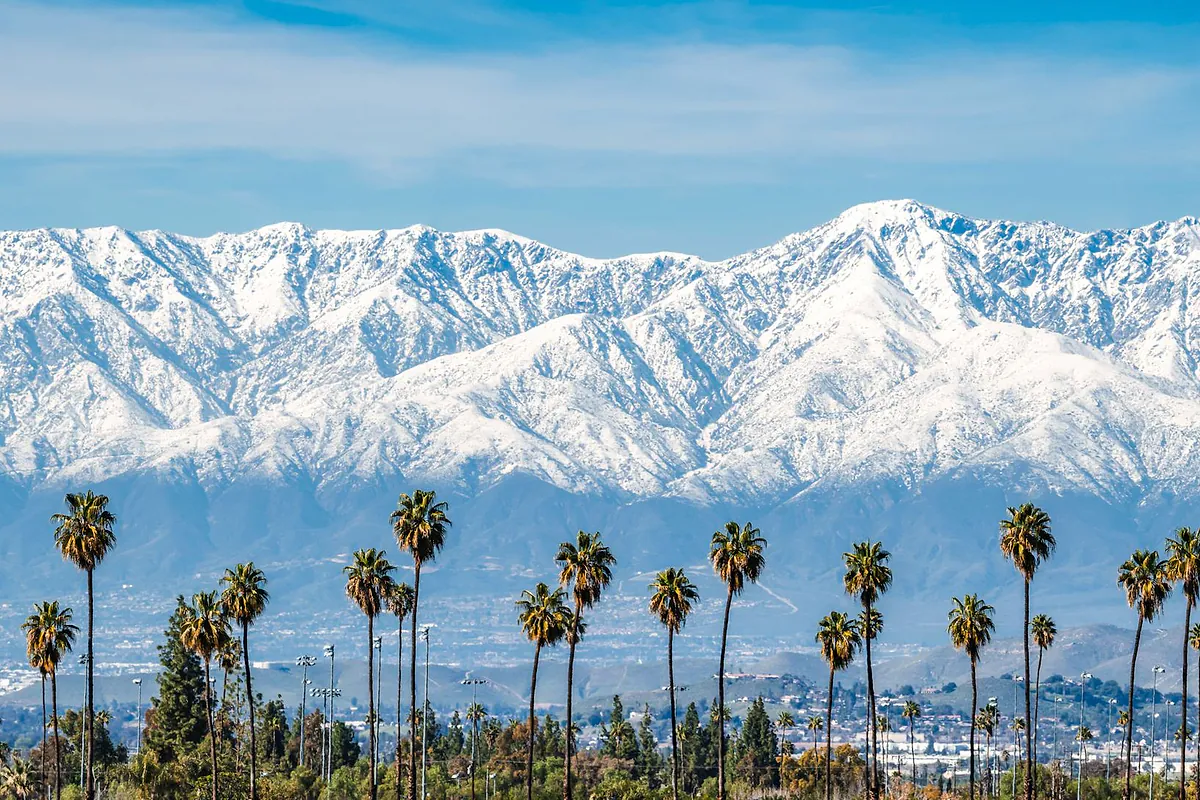 San Bernardino Mountains rising behind palm trees